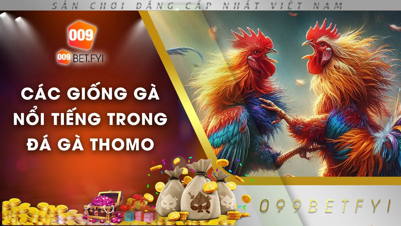 đá gà thomo 009bet 02