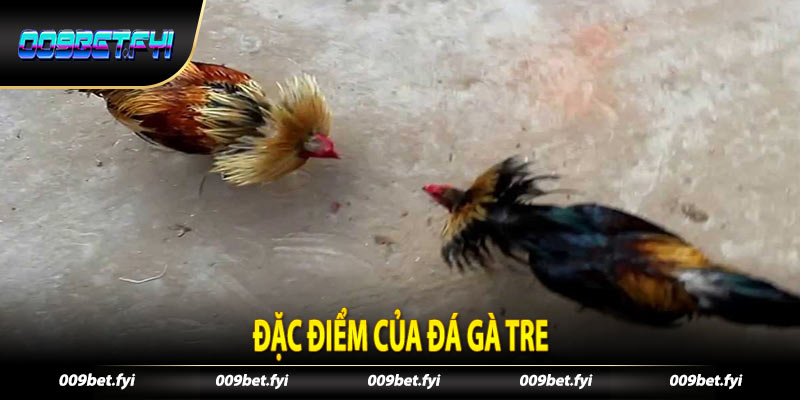 Đặc điểm của Đá Gà Tre