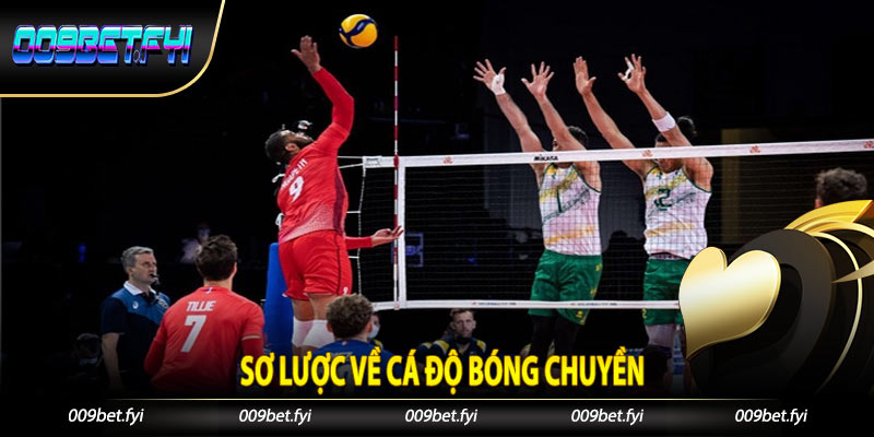 Sơ lược về cá độ bóng chuyền